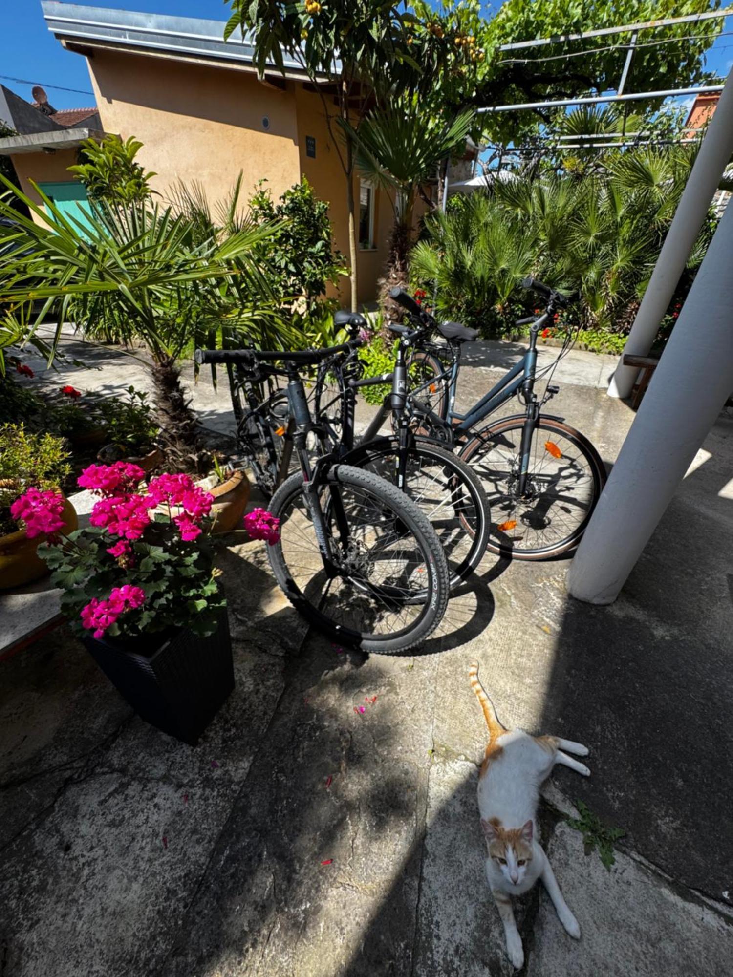 Eleonora Apartments Zadar Exterior photo
